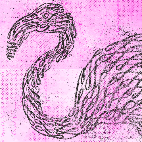 Item #12520096913277121545232673772747947087596815365110293900319642894101882339329 Media