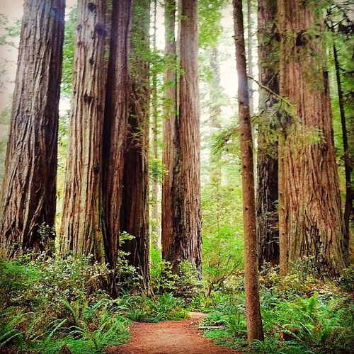 Item #12729754568501072855489201789855253348138096552071129580041228576172357451784 Media