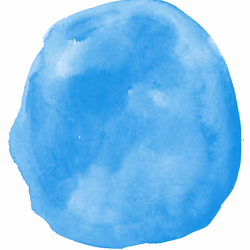 Rainbow Kombucha SCOBY - Blue Algae