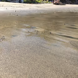 Golden Beach Mexico