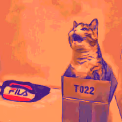 Ocelot in a box (1/50)