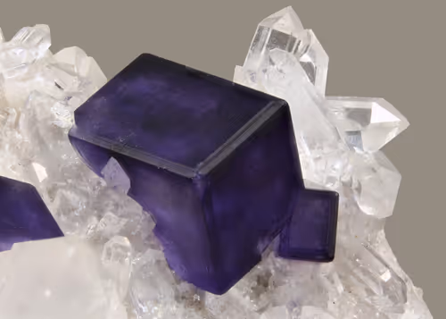 Item #76760594935064454251829113996962230117442052762635456780671601442159826305025 Media