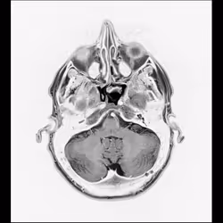 64162533542198579898252916190583583845604629893829087458582975888729017679873