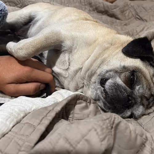 Apollo_ZeussWorld Collection