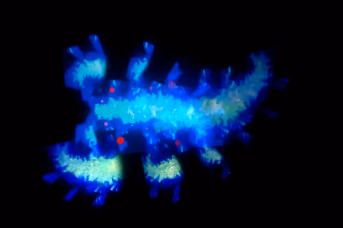 Item #67457553150443021914092587022250176347061355639032054621716075710077514809345 Media