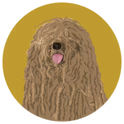 54766349128176429303044182404049584425310907481653304317570414043082518429697