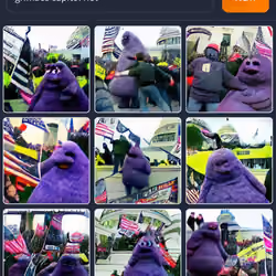 Grimace capitol riot