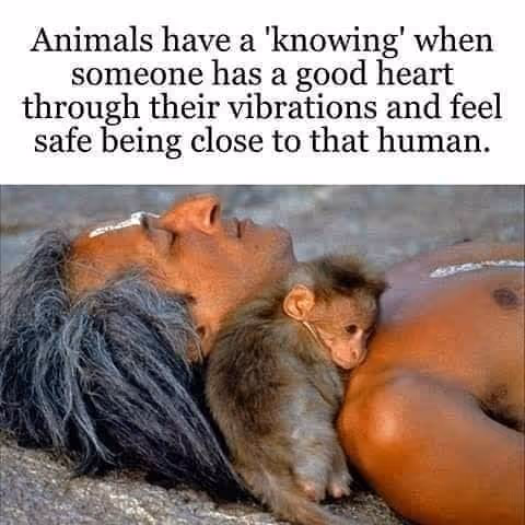 Item #107316880139886165764783739584478385264669758930307595352306352483017701720065 Media