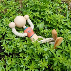 NFT in the Wild #30 - Sept 2021