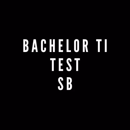 Bachelor TI Test SB