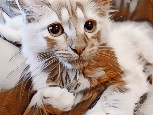 Item #70677597916389332091875359855925065117436584504780574341127713052182232170497 Media