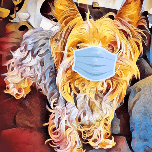 Dogs And 1