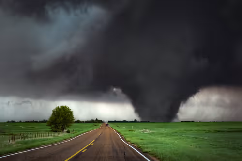 Item #46154160826271547341634704556143841503597126410650149385483954195348248854529 Media