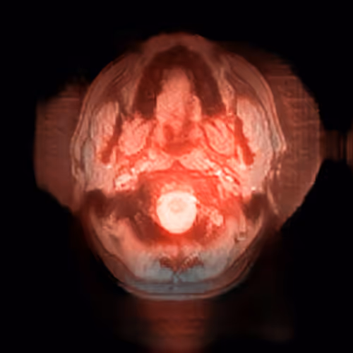 Item #35662924342885359017762346911149375706848643916370412545442272757845030076417 Media