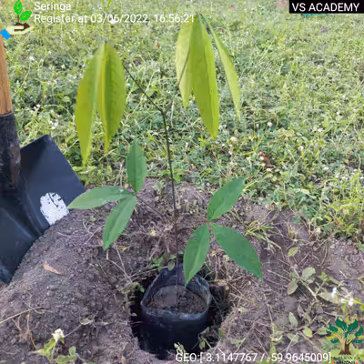 Item #8500196597889277390194123329501889087166328879864934763448348798427546517505 Media