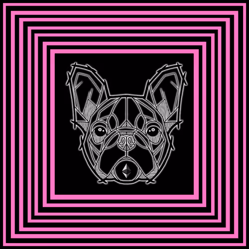 The Frenchie Club 01