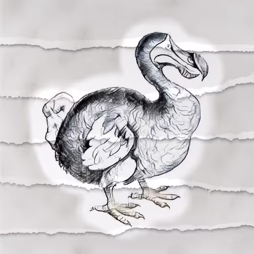 Item #17635803375648012338610213380030160191715370757553255260744606427201438482433 Media