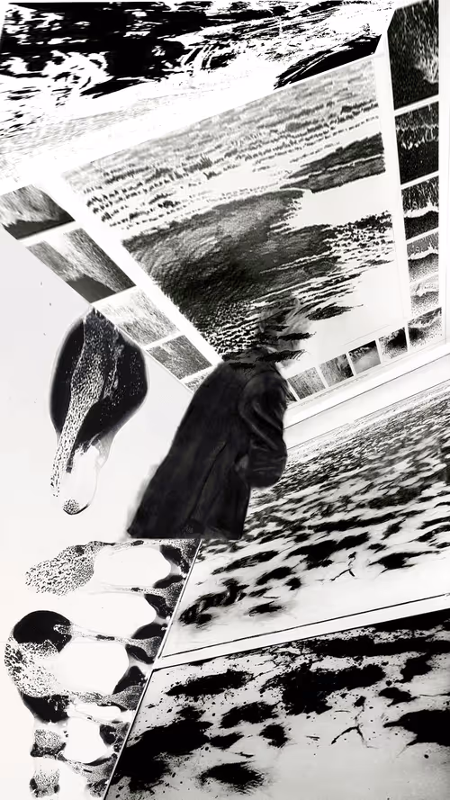 Item #23092074057200007640724092380100474493501782521467816833551575936099116122113 Media