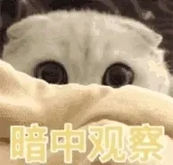 qqq69