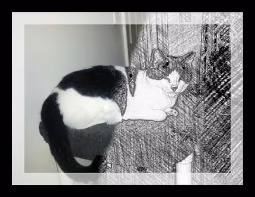 Item #31735398231632093857774867303018265857674477935155638233563994304745087959041 Media