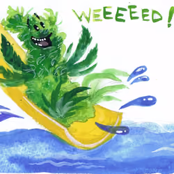 Waterslide Bud