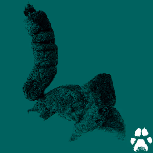 Item #50372166903255122082235376780603131603354396244022877400208829267280394190849 Media