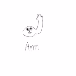 Arm