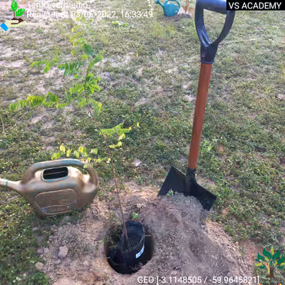 Item #8500196597889277390194123329501889087166328879864934763448348805024616284161 Media