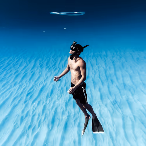 Untitled Collection #71103961