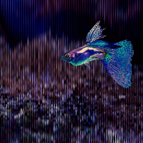 Item #39555325150174100757330711978092095356658009003679986213120678412027860877332 Media