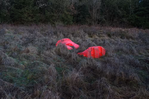 Item #88837150709499798352031986971363165703044907958800399059978422682041458884609 Media