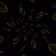 37210836999764152700988462424353264263830190512589989018476641960405166456833