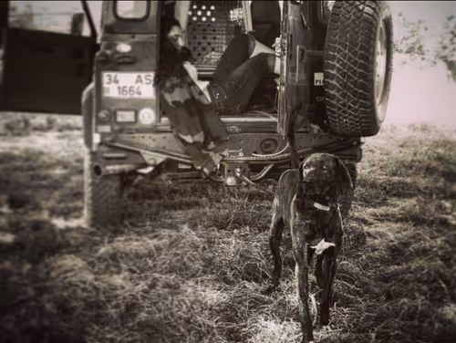 Item #74115066004589151620111760300377588999647427429410125442737561301142518890497 Media