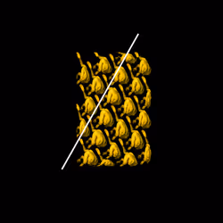 64937308923702188921050477922985568255563615287509163663175392138633613934593