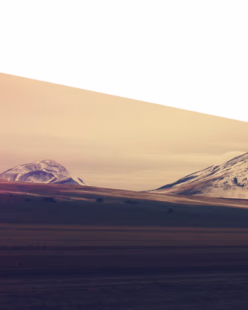 Item #61618496181143719926483872384776082565865251829687721648123714380393229582337 Media