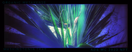 Item #3787080761074609709675817509753112159059746763483256848434353575388594044933 Media