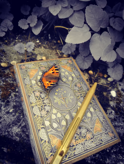 Item #5598991222745073335604082861386074683090632639195630123578195502622442520577 Media