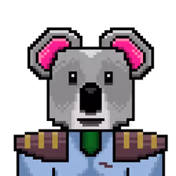 SpaeKoala #3