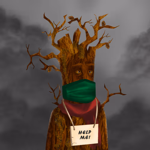 Item #38969088093190670381878411557565580659447067316565611691845276174369767292929 Media