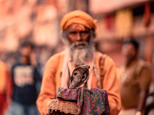 Item #76182420435474433030175106925333141340122143524658153810664851656078358740993 Media