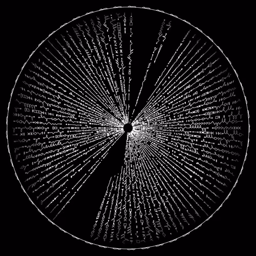codex 555603673.