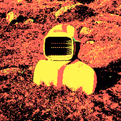 Cryptonaut #0013