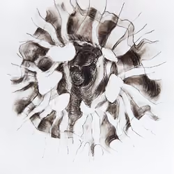 Black Sun