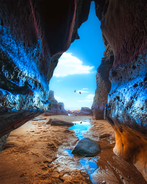 Item #37701692604240833627253285702133416503729912099982209521242011457532033236993 Media