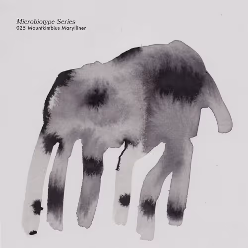 Item #20537471166803336483697920459392139182541277411208615206121837247093645770753 Media