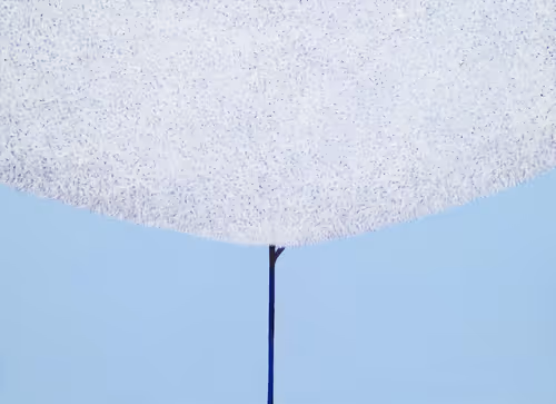 Item #16101337722085282298689115621610294664144615347996772178843194640737113210881 Media