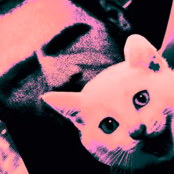 4747115153065902387790593868107453782499677024781155622119189986203381268481