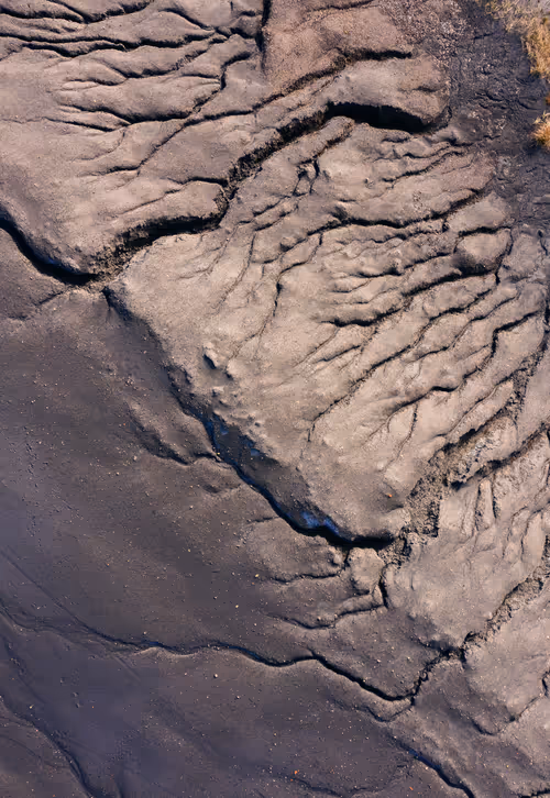 Item #56582553885224441089926055814048090400852822169914013821602265937157992480769 Media