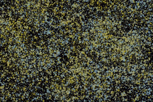 Item #944858660688572096584618472555991747686703840338442188877309656635593981953 Media