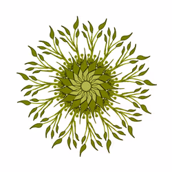 26185187814367725376940026929040218982398144969044494291860281342334399938561